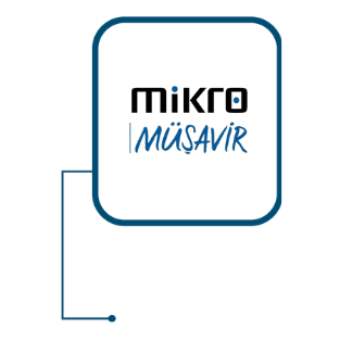 Mikro Müşavir